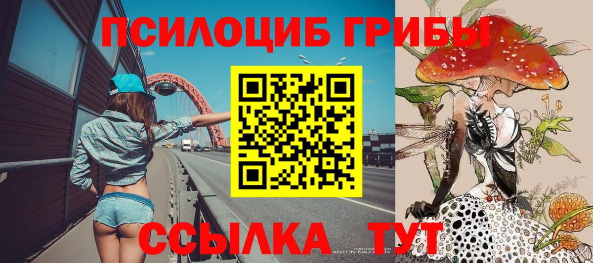 Псилоцибиновые грибы MAGIC MUSHROOMS Электросталь